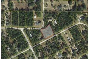 16175 Sw 47th Place Rd, OCALA