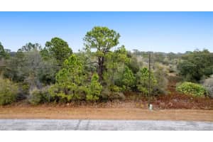 1519 Mediterranean Dr, POINCIANA 1519 Mediterranean Dr, POINCIANA