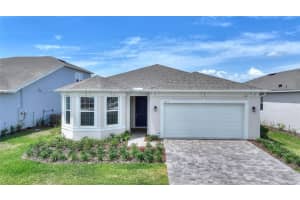 1333 Zesty Citrus Ln, MINNEOLA
