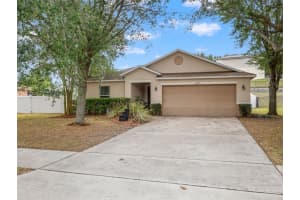 2987 Breezy Meadow Rd, APOPKA