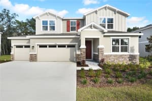 1042 Cloud Ridge Ct, MOUNT DORA