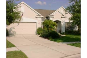 12903 Greenville Ct , TAMPA
