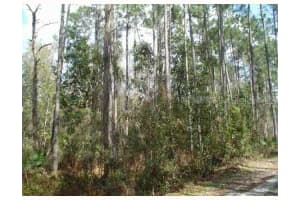 , ZEPHYRHILLS
