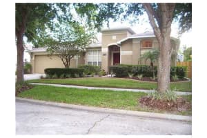12811 Pacifica Pl , TAMPA