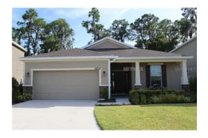 12215 Swaying Moss Cir , RIVERVIEW