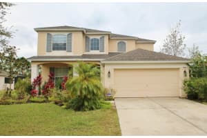 3450 Juneberry Dr , WESLEY CHAPEL