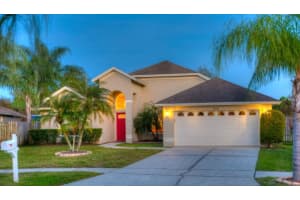 10032 Oasis Palm Dr , TAMPA