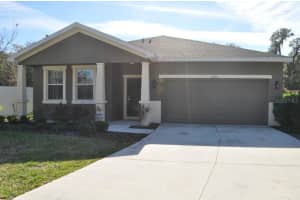 12213 Water Mist Ct , RIVERVIEW