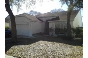 9027 Sheldon Chase Dr , TAMPA 9027 Sheldon Chase Dr , TAMPA