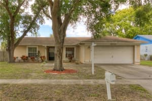 3014 Annadale Cir , BRANDON 3014 Annadale Cir , BRANDON