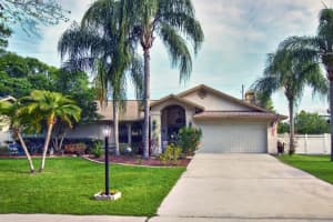 12810 Pintail Ct , RIVERVIEW