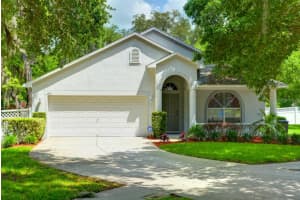 815 Straw Lake Dr , BRANDON 815 Straw Lake Dr , BRANDON