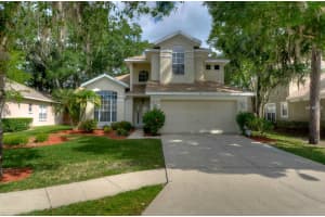 6013 Williamsburg Way , TAMPA
