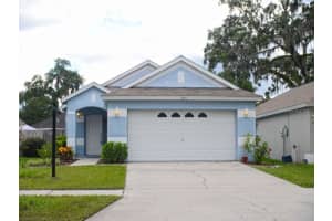 2621 Golden Antler Ln , LUTZ