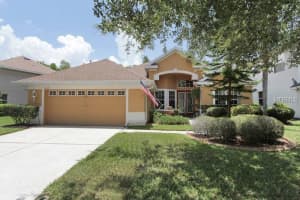 11329 Minaret Dr , TAMPA 11329 Minaret Dr , TAMPA