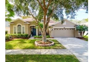 8938 Aberdeen Creek Cir , RIVERVIEW