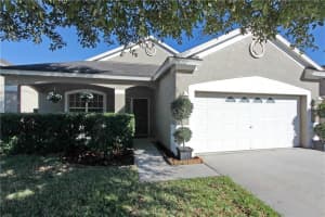 15805 Stags Leap Dr , LUTZ
