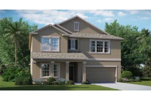 14256 Blue Dasher Dr, RIVERVIEW