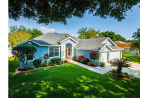 1111 Lumsden Trace Cir, VALRICO 1111 Lumsden Trace Cir, VALRICO