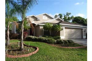 5817 Aventura Ct, TAMPA
