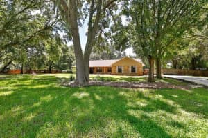 905 Arrowhead Ln, BRANDON