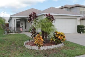 5430 Turtle Crossing Loop, TAMPA 5430 Turtle Crossing Loop, TAMPA