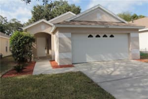 15026 Deer Meadow Dr, LUTZ