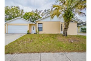 2002 Gregory Dr, TAMPA