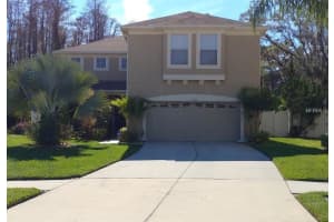 11101 Avery Oaks Dr, TAMPA 11101 Avery Oaks Dr, TAMPA