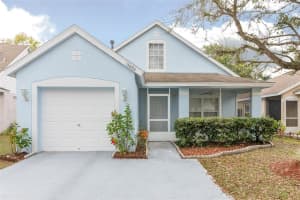 15020 Deer Meadow Dr, LUTZ