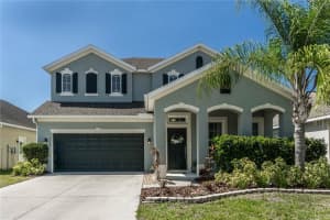 8217 Nectar Ridge Ct, ODESSA