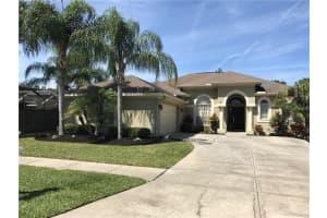 12806 N Birmingham St, TAMPA