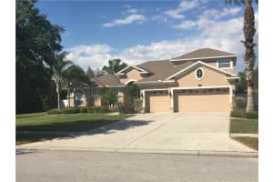 5709 Turtle Ridge Dr, LUTZ