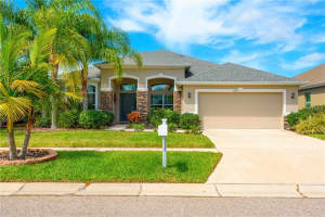 11449 Newgate Crest Dr, RIVERVIEW