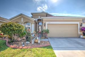 11211 Madison Park Dr, TAMPA