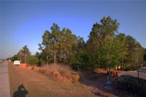 30150 Overpass Rd, WESLEY CHAPEL