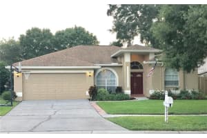 12828 Lake Ventana Dr, TAMPA