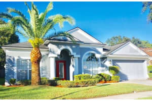 10927 Arbor Ridge Dr, TAMPA 10927 Arbor Ridge Dr, TAMPA