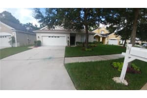 16104 Stags Leap Dr, LUTZ