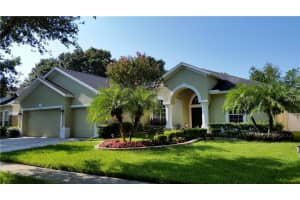 2603 Bonterra Blvd, VALRICO