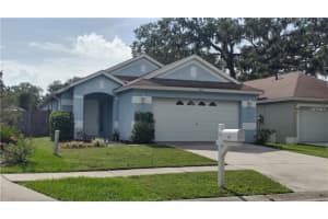 2621 Golden Antler Ln, LUTZ