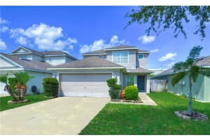 5422 Turtle Crossing Loop, TAMPA 5422 Turtle Crossing Loop, TAMPA