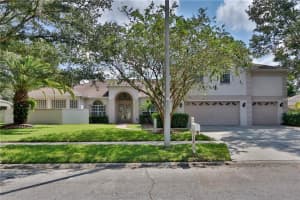 12815 Pacifica Pl, TAMPA