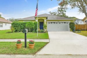 1313 Brahma Dr, VALRICO