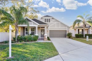 8230 Nectar Ridge Ct, ODESSA