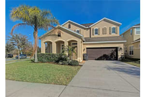 8210 Nectar Ridge Ct, ODESSA