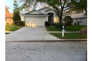11153 Indian Oaks Dr, TAMPA 11153 Indian Oaks Dr, TAMPA