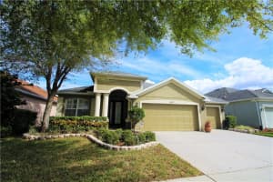 11411 Newgate Crest Dr, RIVERVIEW