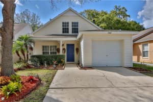 15102 Deer Meadow Dr, LUTZ