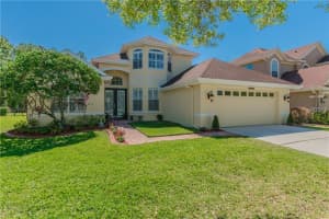 11672 Renaissance View Ct, TAMPA 11672 Renaissance View Ct, TAMPA